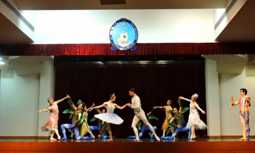 Journey into the World of Ballet